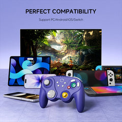 NYXI Warrior Lite Wireless Controller for Switch 2, Hall Effect Joystick Buttons