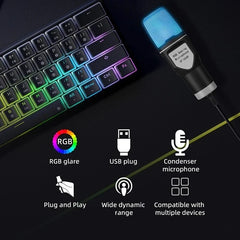 Professional USB Condenser Microphone Kit for Gaming PC & Laptop Wired Mic