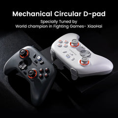 GameSir Nova Lite 2 Wireless Switch Controller Bluetooth Gamepad Switch